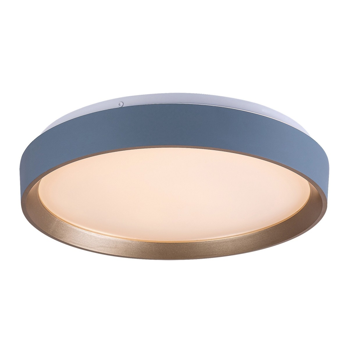 Rabalux Liatris2 71185 - typ - Lampy sufitowe