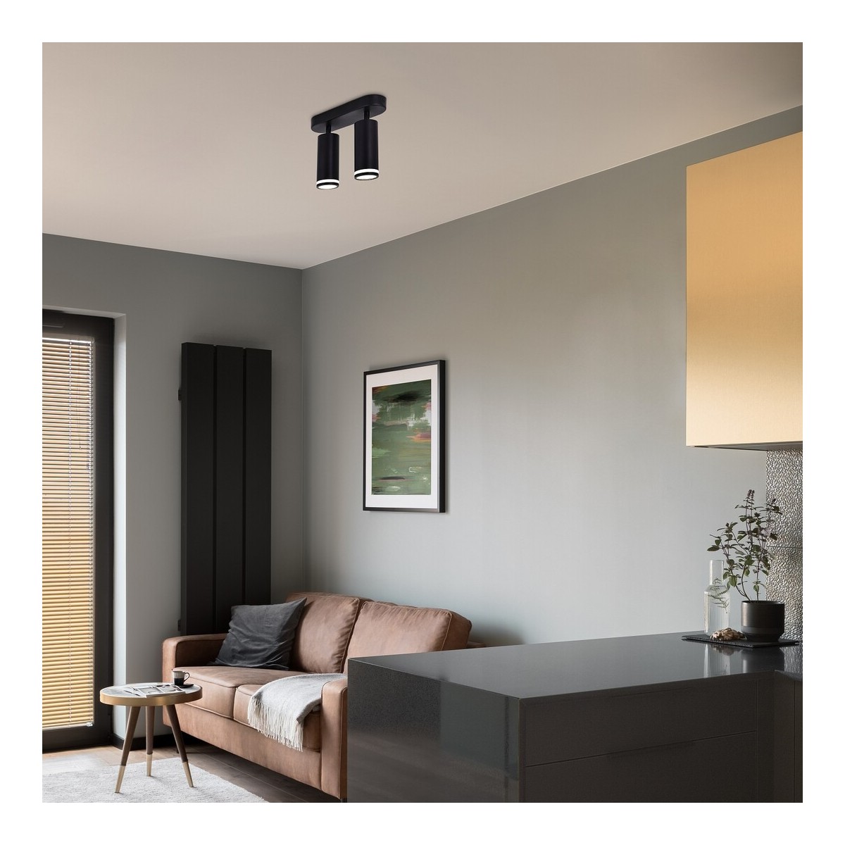 Rabalux Senobia 73034 - typ - Lampy sufitowe