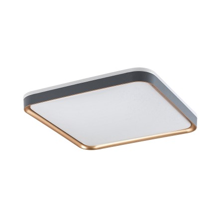 Rabalux Liatris 71029 - typ - Lampy sufitowe