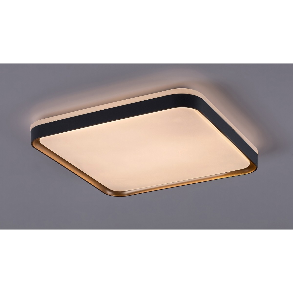 Rabalux Liatris 71029 - typ - Lampy sufitowe