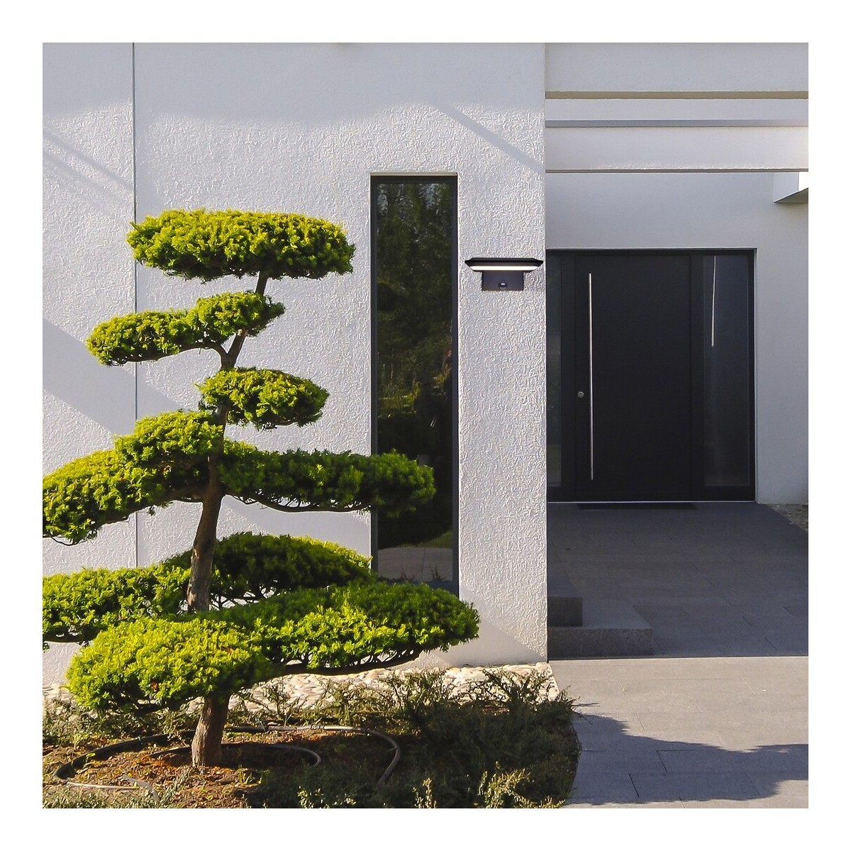 Rabalux Qesa 77005 - typ - Lampy solarne