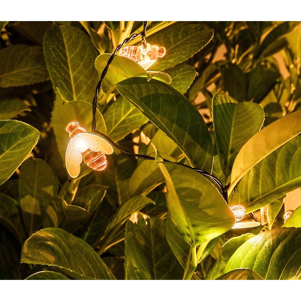 Rabalux Bobus 77002 - typ - Lampy solarne