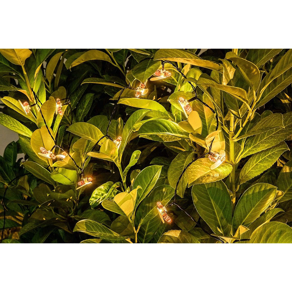 Rabalux Bobus 77002 - typ - Lampy solarne