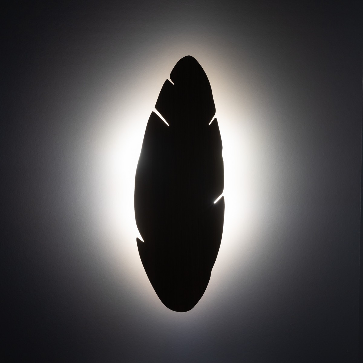 Lampa ścienna TK-Lighting HOJA TKL5565  Kinkiet kolor - orzech - czarny styl Nowoczesny  Boho