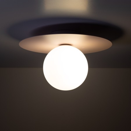 Lampa sufitowa TK-Lighting PIXI TKL10228  Lampa ścienna kolor - orzech - biały styl Nowoczesny