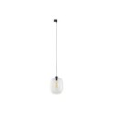 Systemy szynowe TK-Lighting TRACER TKL10662 kolor - czarny - transparentny styl Nowoczesny