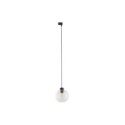 Lampa sufitowa TK-Lighting TRACER TKL10665 kolor - czarny - transparentny styl Nowoczesny