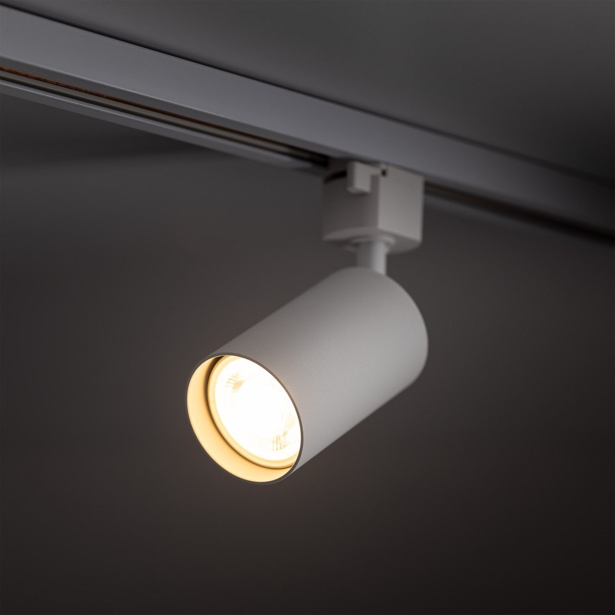 Systemy szynowe TK-Lighting TRACER TKL10557  Lampa sufitowa kolor - biały styl Nowoczesny