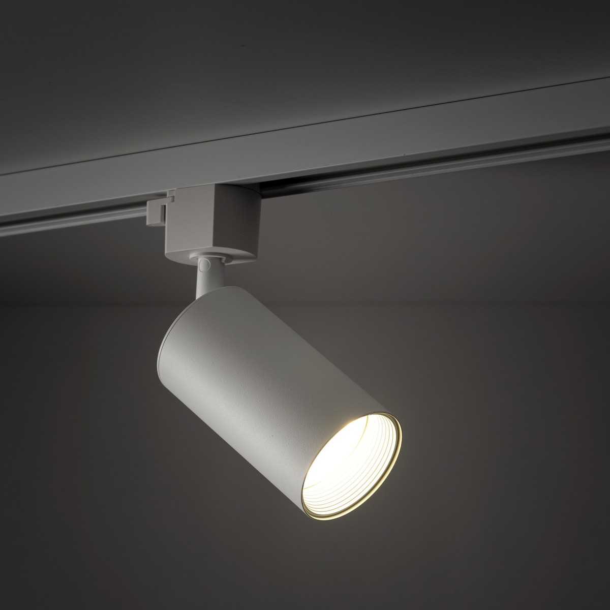 Lampa sufitowa TK-Lighting TRACER TKL10647  Lampa ścienna kolor - biały styl Nowoczesny