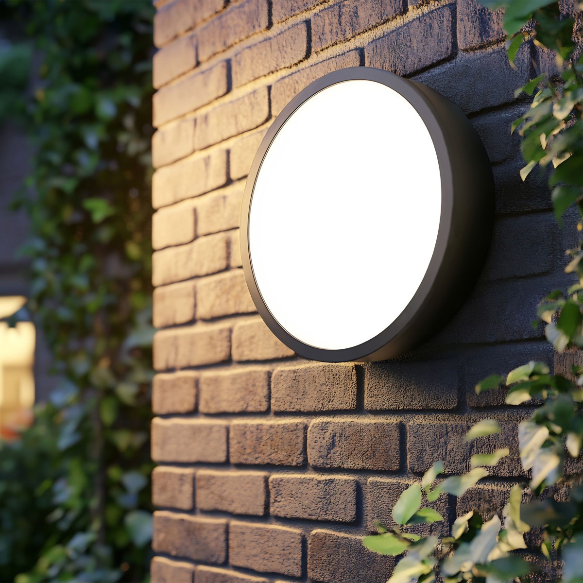 Lampa sufitowa TK-Lighting LIVO TKL10988 kolor - biały - czarny styl Nowoczesny