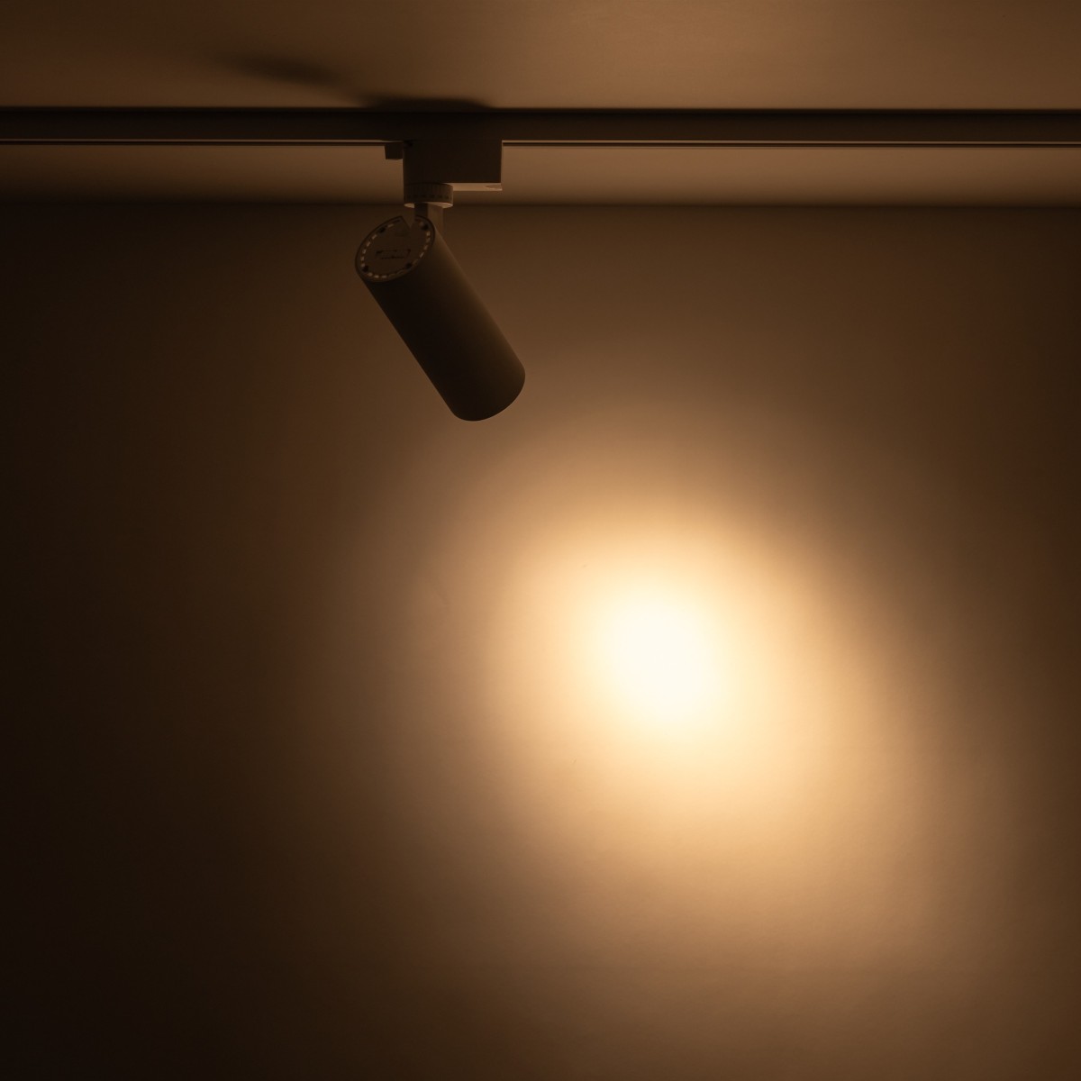 Systemy szynowe TK-Lighting TRACER TKL18179 kolor - biały - transparentny styl Nowoczesny