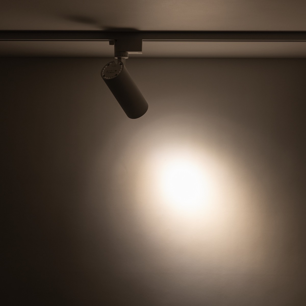 Systemy szynowe TK-Lighting TRACER TKL18179 kolor - biały - transparentny styl Nowoczesny