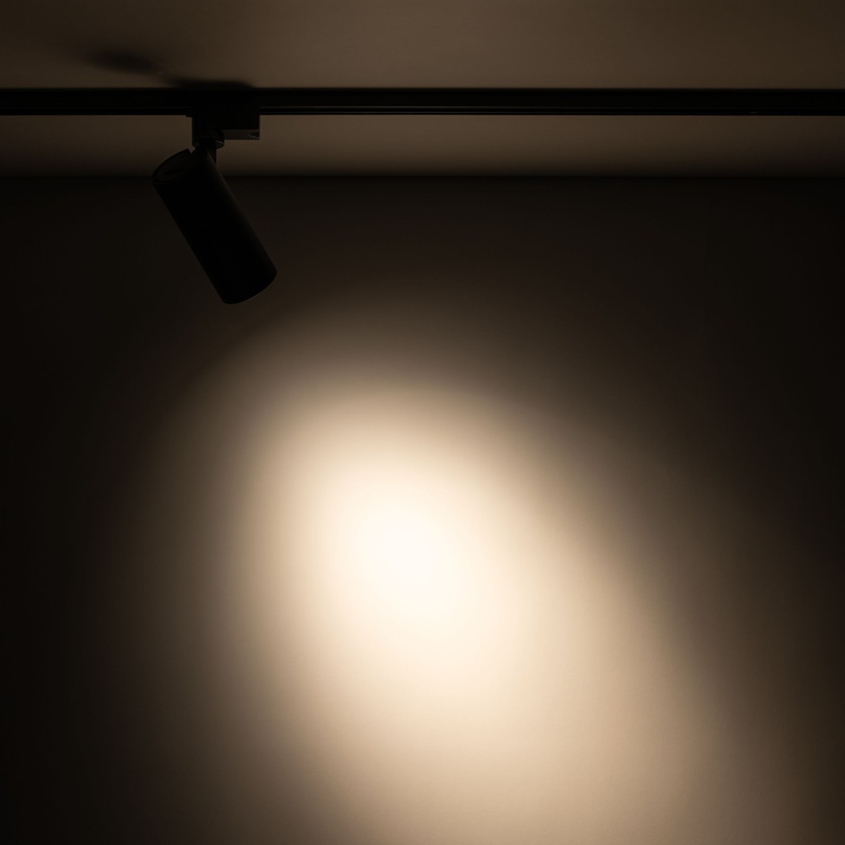 Systemy szynowe TK-Lighting TRACER TKL18189 kolor - czarny - transparentny styl Nowoczesny