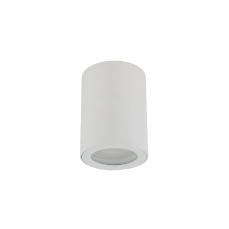 Lampa sufitowa TK-Lighting LIGNO TKL10932 kolor - biały - transparentny styl Nowoczesny