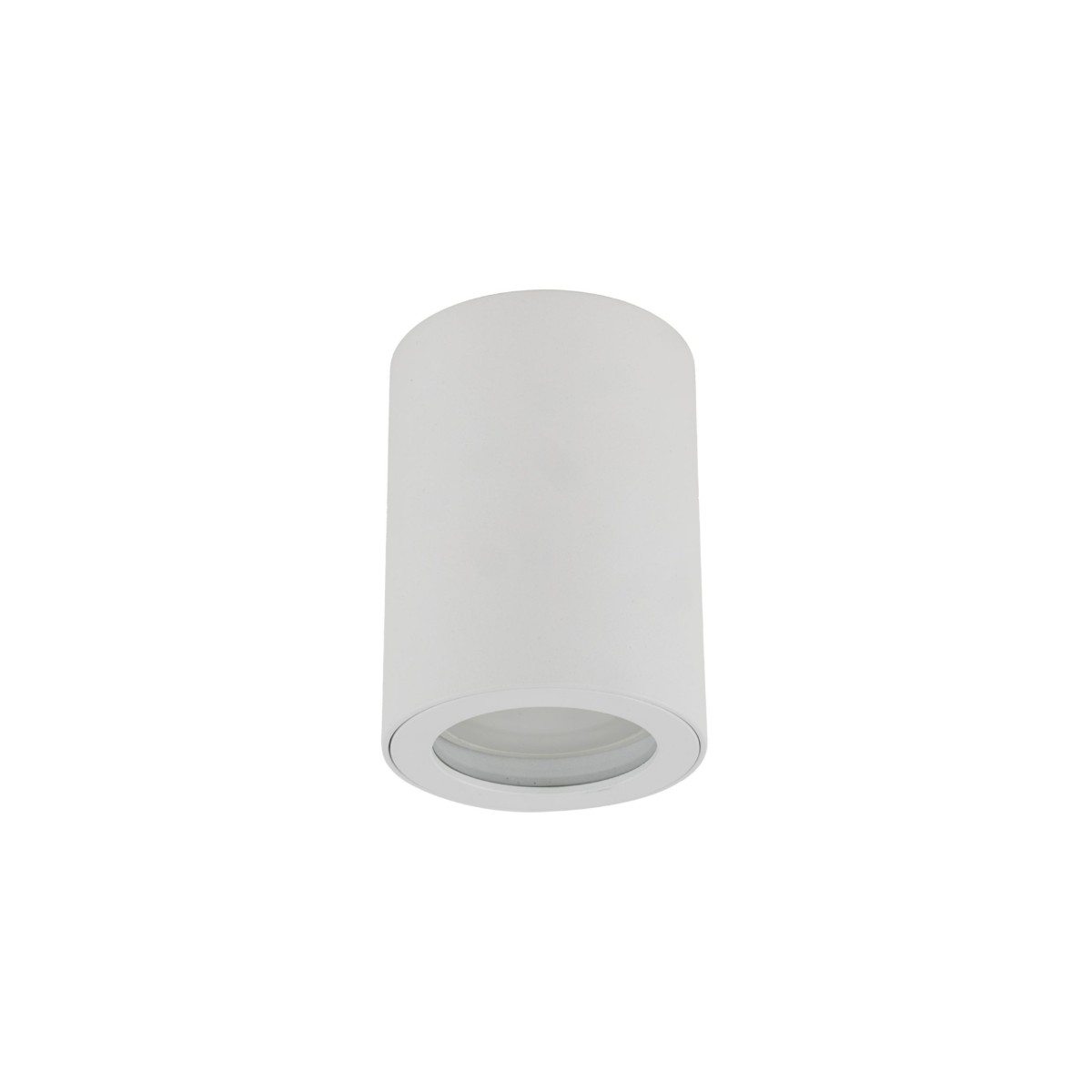 Lampa sufitowa TK-Lighting LIGNO TKL10932 kolor - biały - transparentny styl Nowoczesny