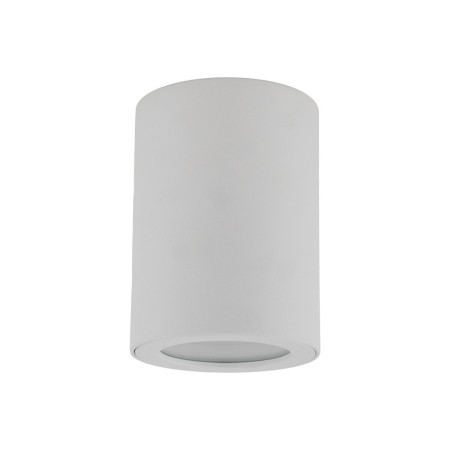 Lampa sufitowa TK-Lighting LIGNO TKL10932 kolor - biały - transparentny styl Nowoczesny