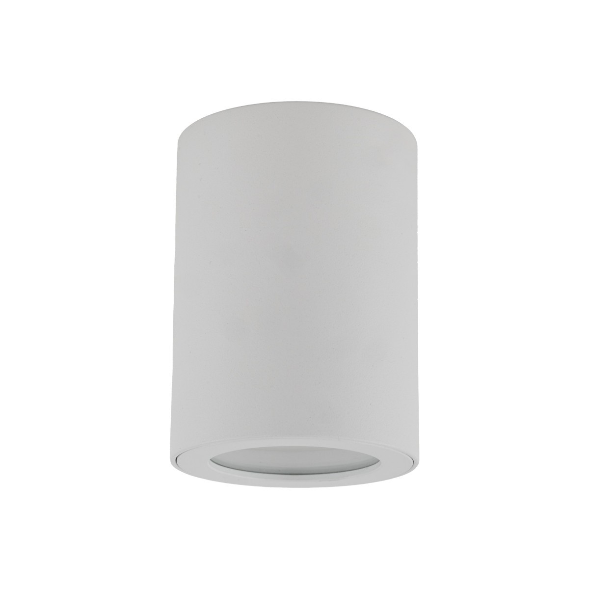 Lampa sufitowa TK-Lighting LIGNO TKL10932 kolor - biały - transparentny styl Nowoczesny