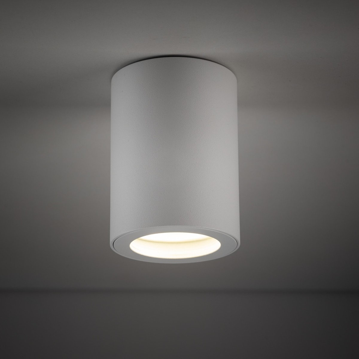 Lampa sufitowa TK-Lighting LIGNO TKL10932 kolor - biały - transparentny styl Nowoczesny