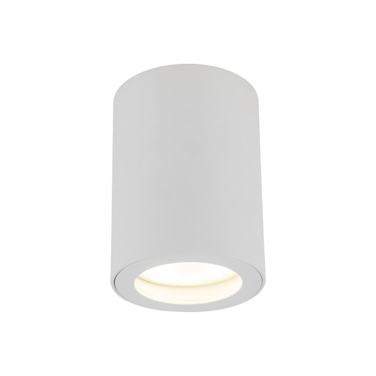 Lampa sufitowa TK-Lighting LIGNO TKL10932 kolor - biały - transparentny styl Nowoczesny