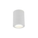 Lampa sufitowa TK-Lighting LIGNO TKL10932 kolor - biały - transparentny styl Nowoczesny