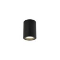 Lampa sufitowa TK-Lighting LIGNO TKL10933 kolor - czarny - transparentny styl Nowoczesny