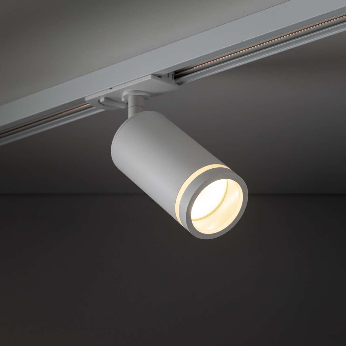 Systemy szynowe TK-Lighting TRACER TKL10028  Lampa sufitowa kolor - biały styl Klasyczny  Minimalistyczny