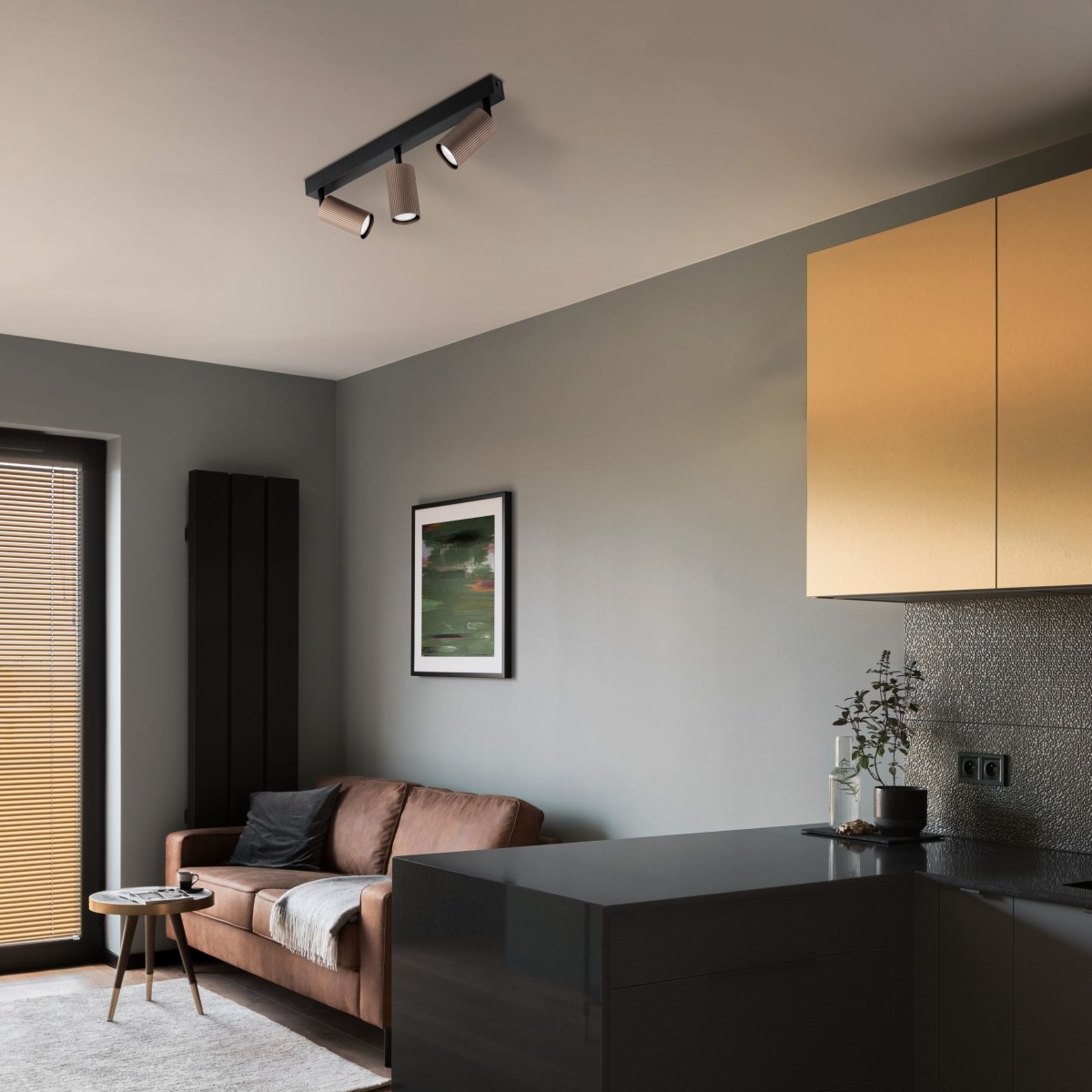 Lampa sufitowa TK-Lighting TUNE TKL16148  Lampa ścienna kolor - czarny - brązowy styl Nowoczesny