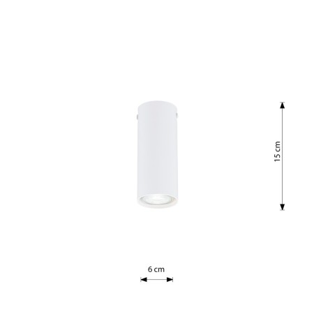 Emibig TECNO 1S WHITE EM1317/1S kolor z kategorii lampy sufitowe