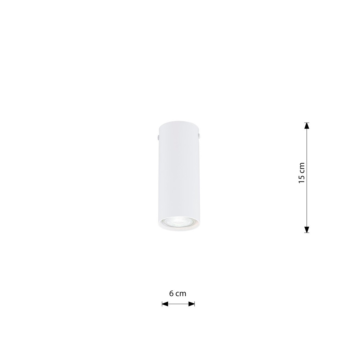 Emibig TECNO 1S WHITE EM1317/1S kolor z kategorii lampy sufitowe