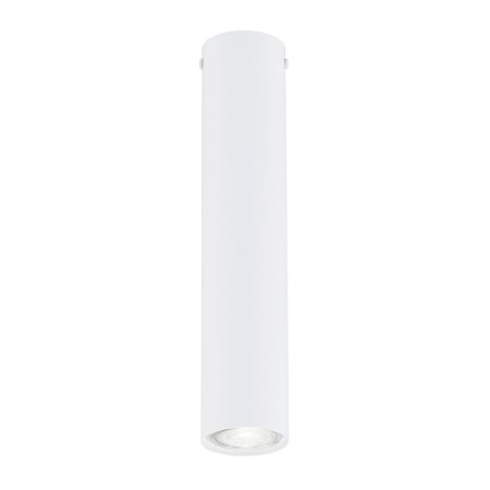 Emibig TECNO 1M WHITE EM1317/1M kolor z kategorii lampy sufitowe