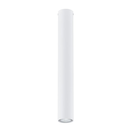 Emibig TECNO 1L WHITE EM1317/1L kolor z kategorii lampy sufitowe