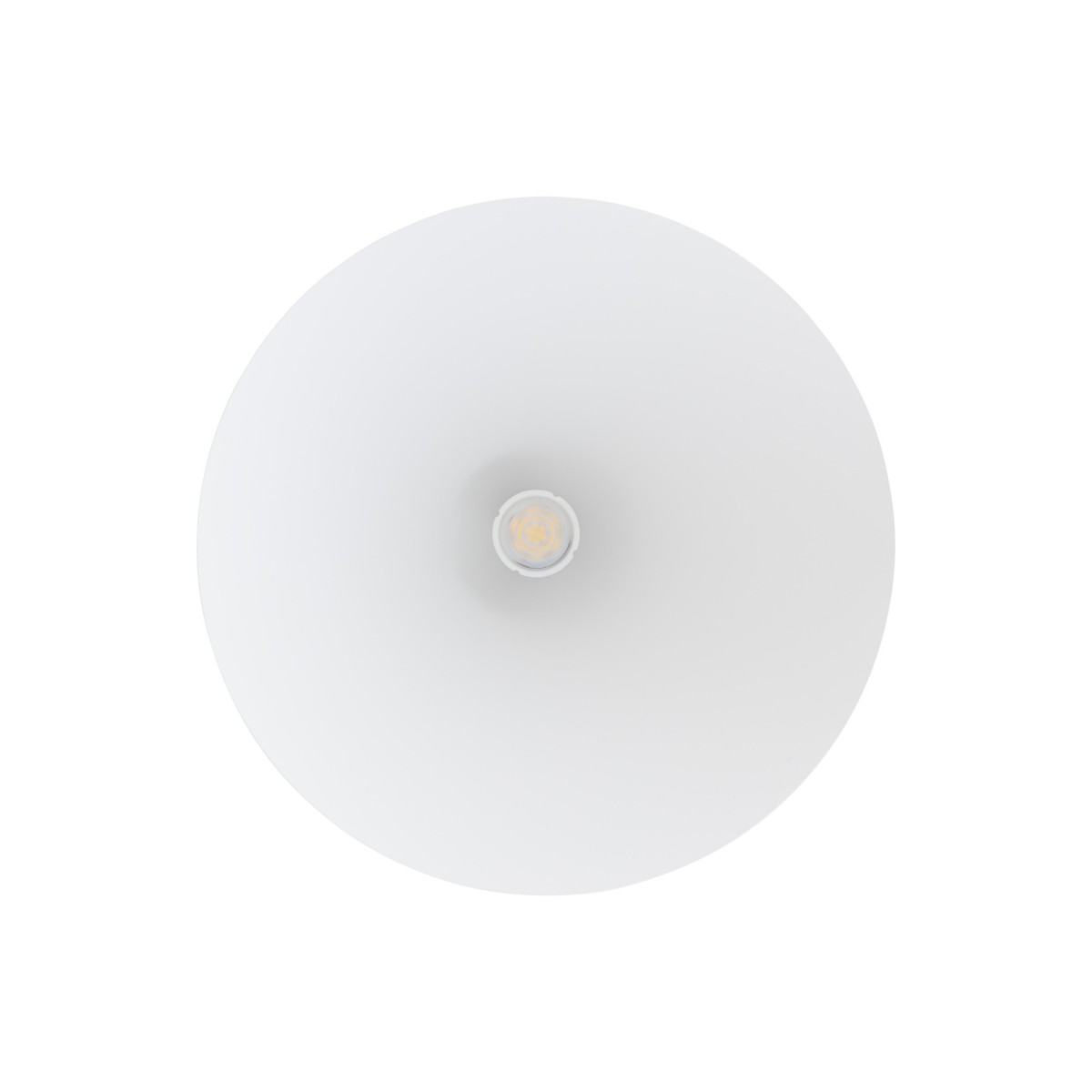 Nowodvorski ZENITH 8002