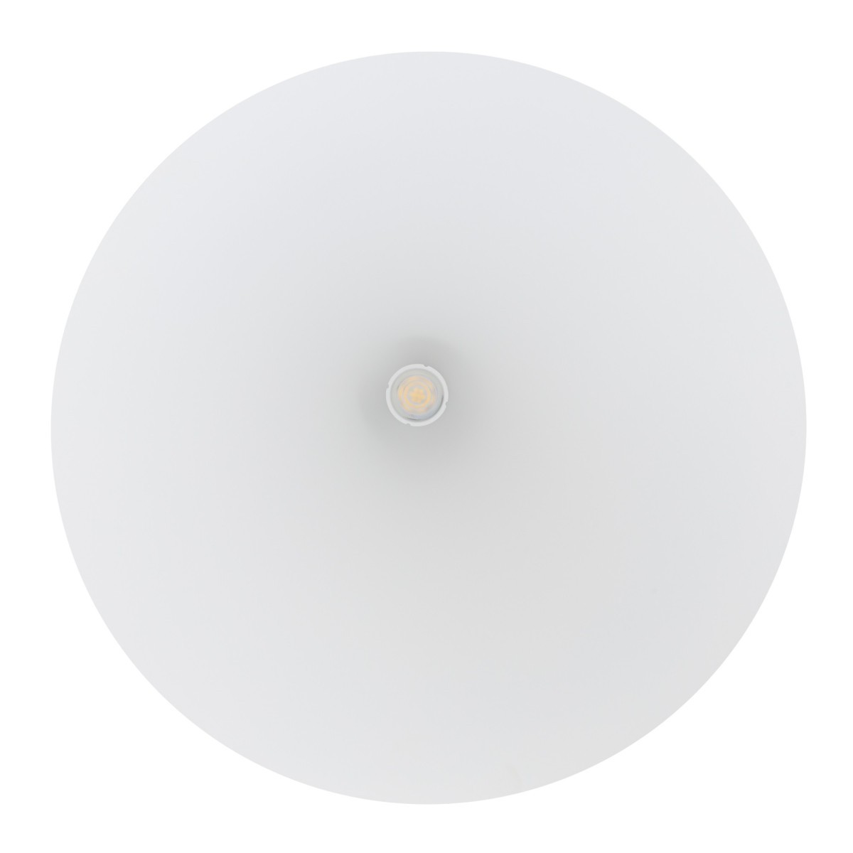 Nowodvorski ZENITH 8006