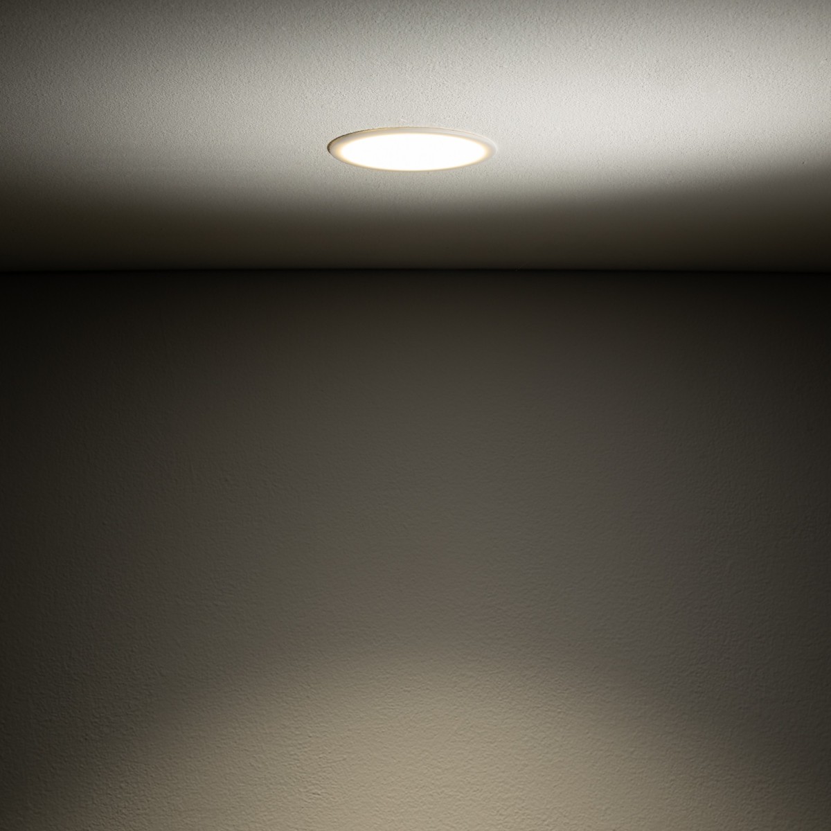 Nowodvorski CUP 10788