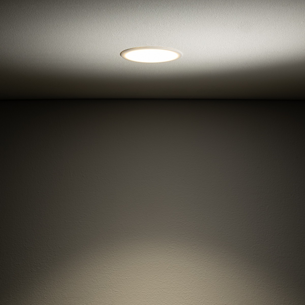 Nowodvorski CUP 10788