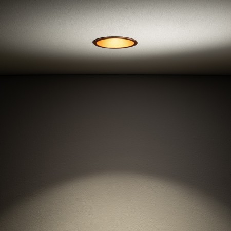 Nowodvorski CUP 10792