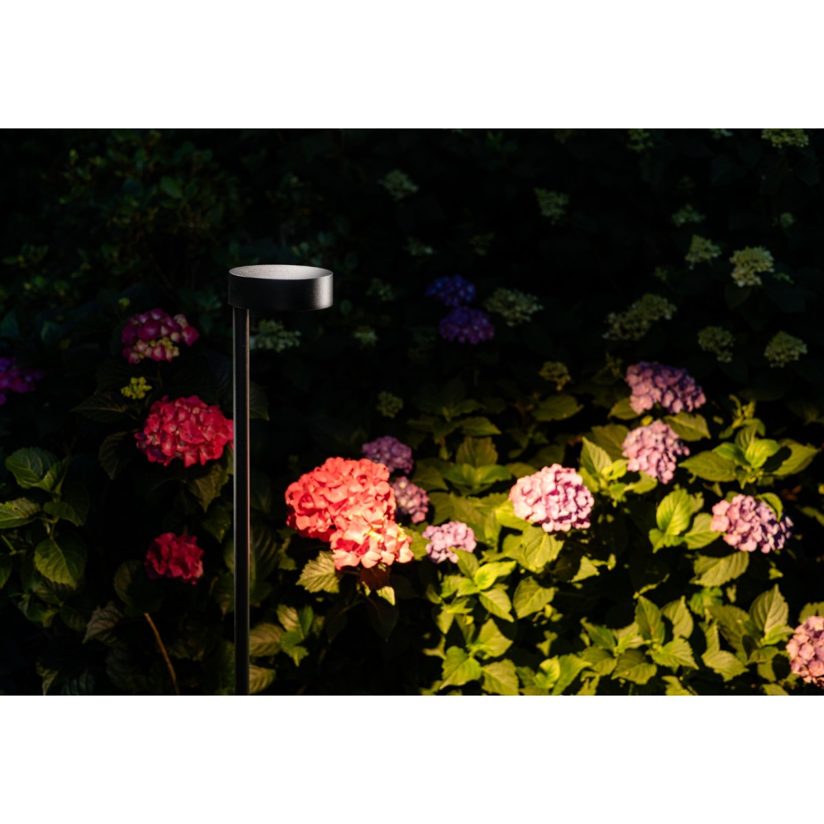 Nowodvorski RUBY LED 11542