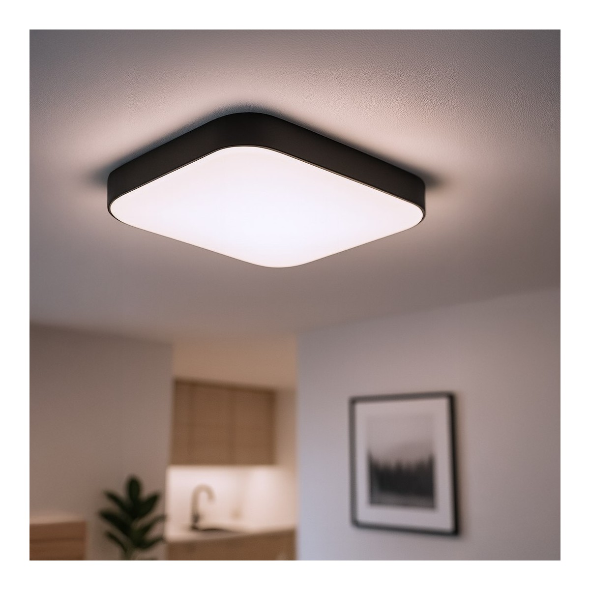 MiLagro NEMO Black ML1835 plafon LED