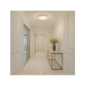 Milagro ML1841 Plafon LAGO 36W LED O480
