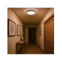 Milagro ML1840 Plafon ORINOKO 36W LED O480