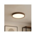 Milagro ML2054 Plafon FOREST 24W LED O390
