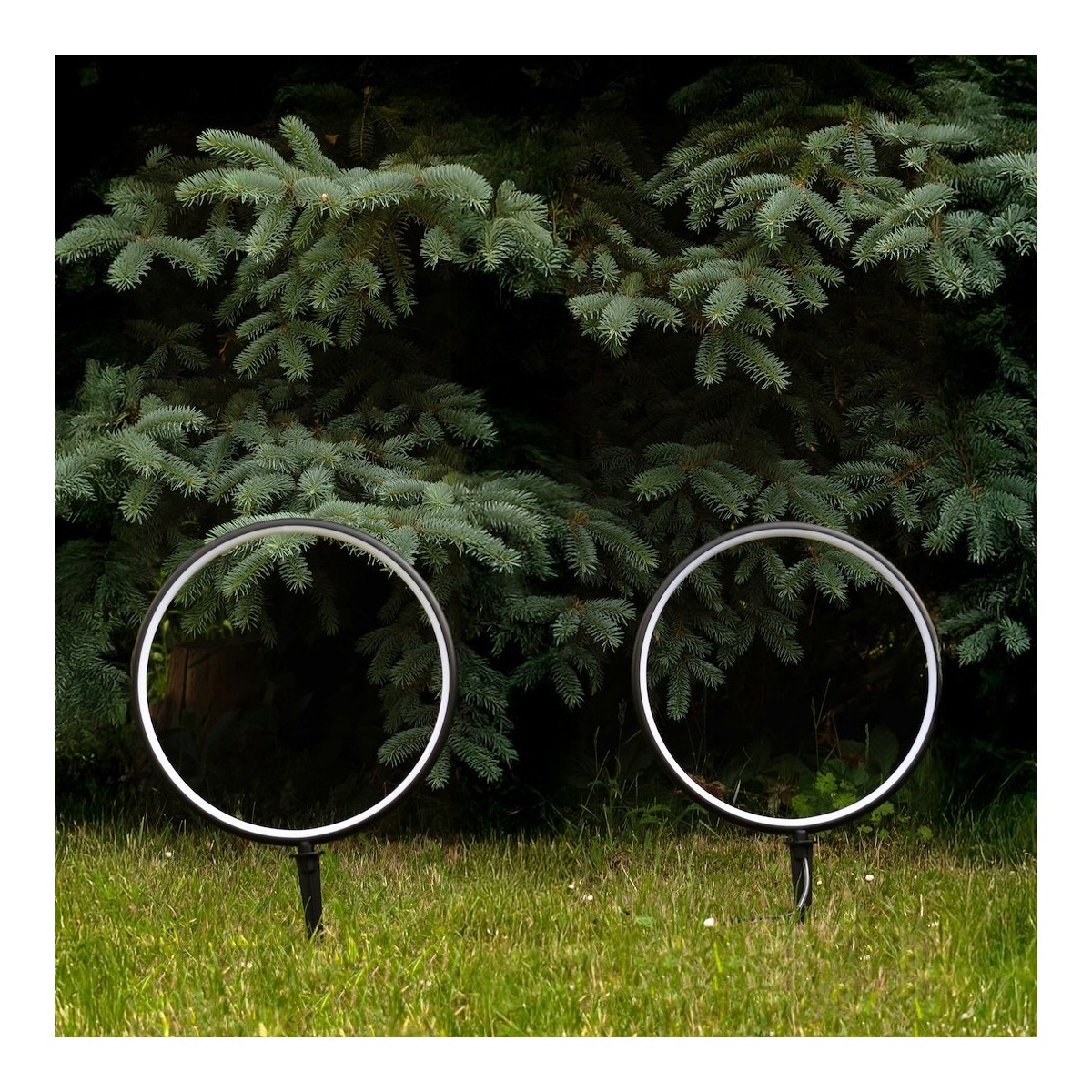 MiLagro Rings EKO2360 solar LED