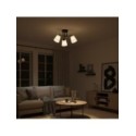 MiLagro ML2257 lampa sufitowa Pafos