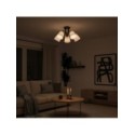 MiLagro ML2258 lampa sufitowa 5xE27