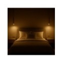 MiLagro ML2439 lampa Genesis Black Gold