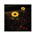 MiLagro EKO2494 solarna lampa Sunflower