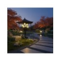 MiLagro EKO2495 solarna lampa Mushrooms