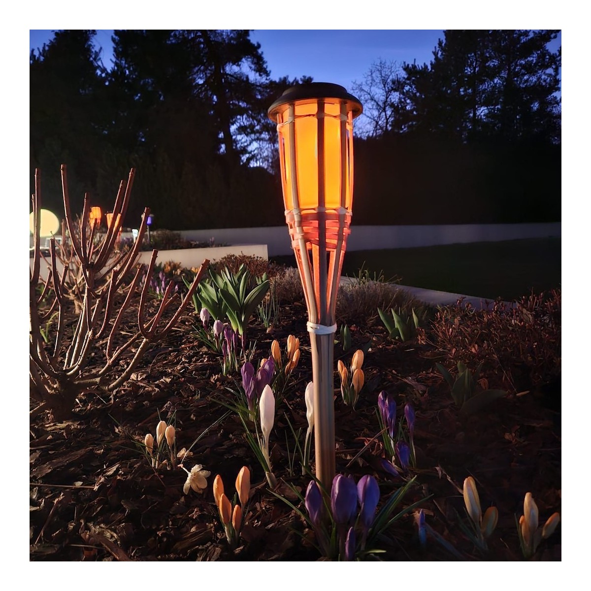 MiLagro EKO2503 solarna lampa Bamboo