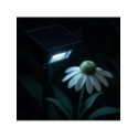 MiLagro EKO2523 solarna lampka Point