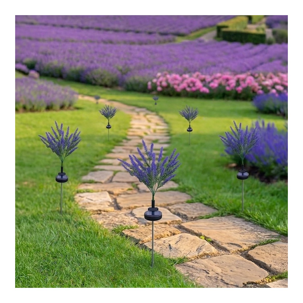 MiLagro EKO2529 lampka solarna Lavender